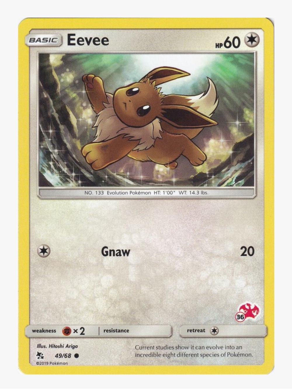 Eevee (Charizard Stamped) Battle Academy Pokemon Trading Card